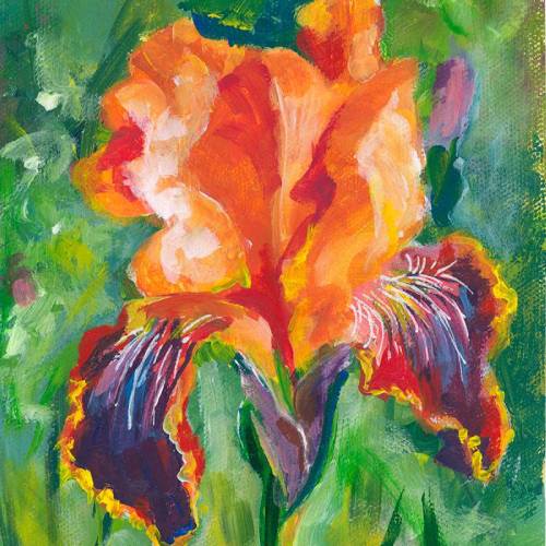 Iris-Flower-FI-500s70 image