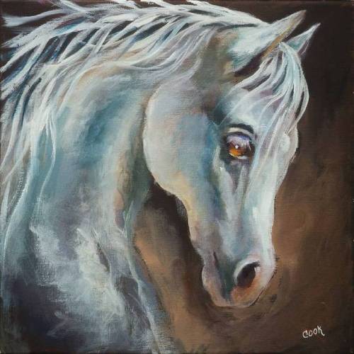 Orise-the-Arabian-Horse-FI-500s70 image
