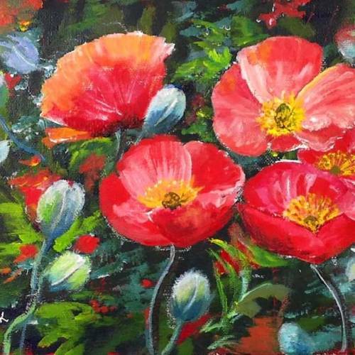 California-Poppies-FI-500s70 image