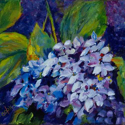 Astra-Liu-Flowers-on-Purple-Background-500s40 image