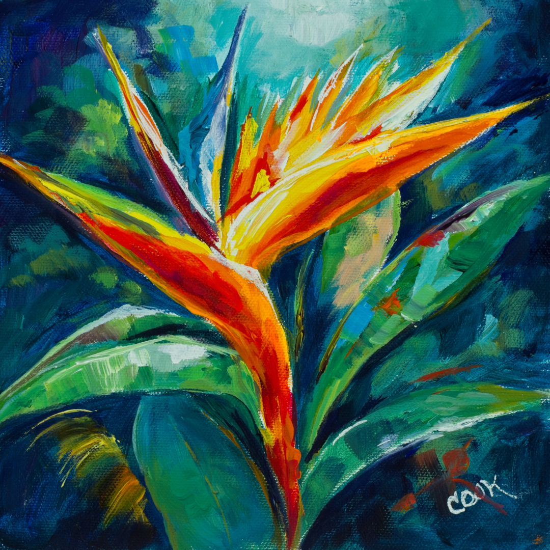 Vibrant-Bird-of-Paradise-1080hVID image