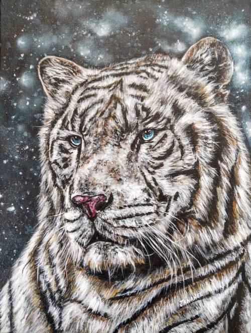 IMG_20230730_1132132-01-1 image