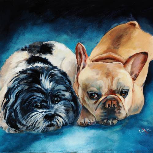 A-Dog-Portrait-of-French-Bulldog-and-Shih-Tzu-FI-500s70 image