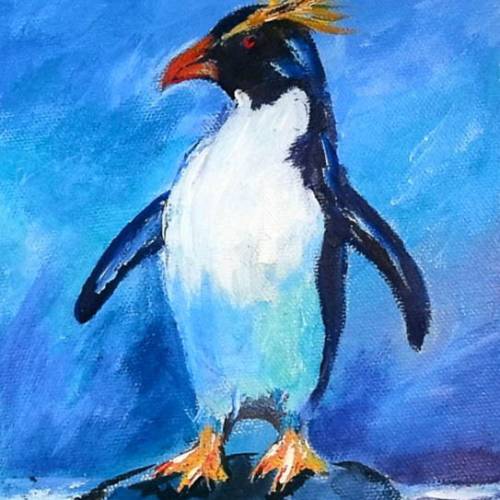 Rockhopper-Penguin-FI-500s70 image