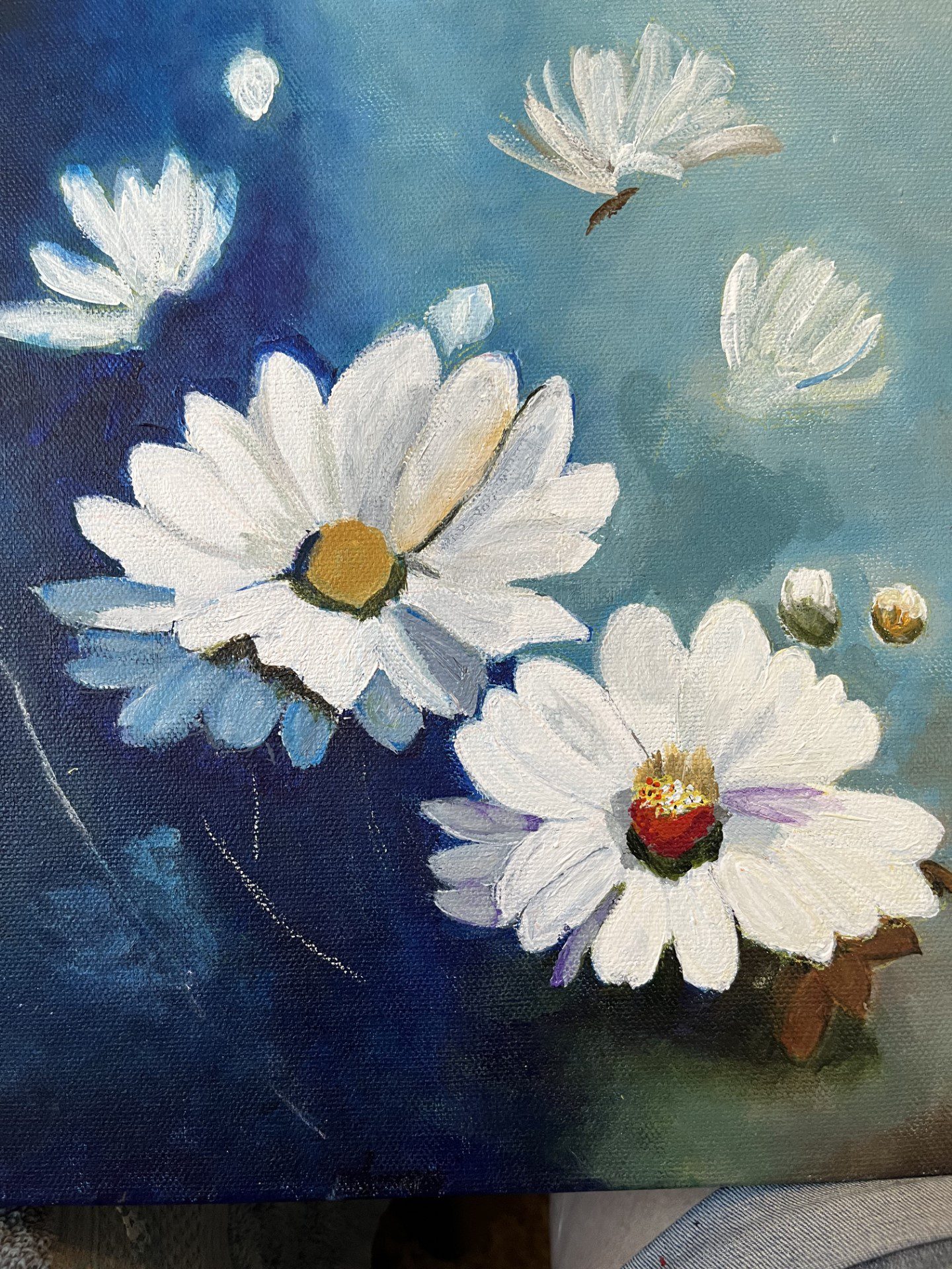 Cheryl-B-Daisies-B4-PAC image